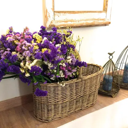 São Vicente - Alfama District * Lisboa